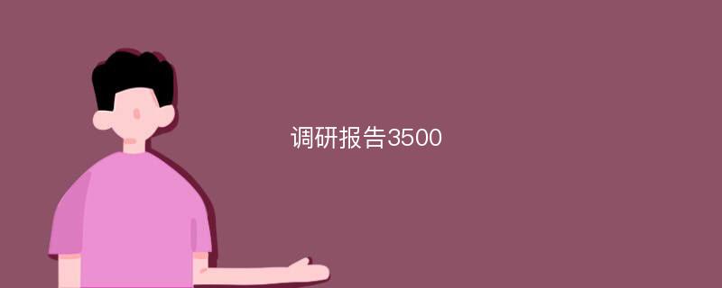 调研报告3500
