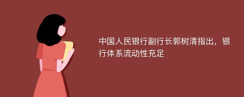 中国人民银行副行长郭树清指出，银行体系流动性充足