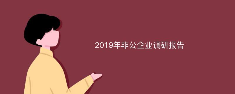 2019年非公企业调研报告
