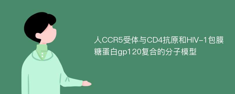 人CCR5受体与CD4抗原和HIV-1包膜糖蛋白gp120复合的分子模型