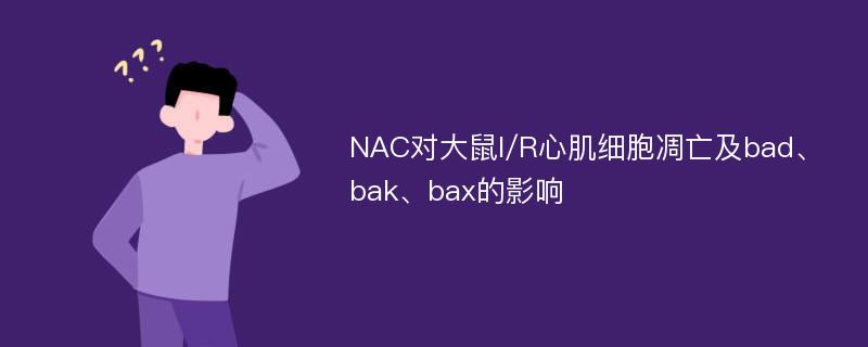 NAC对大鼠I/R心肌细胞凋亡及bad、bak、bax的影响